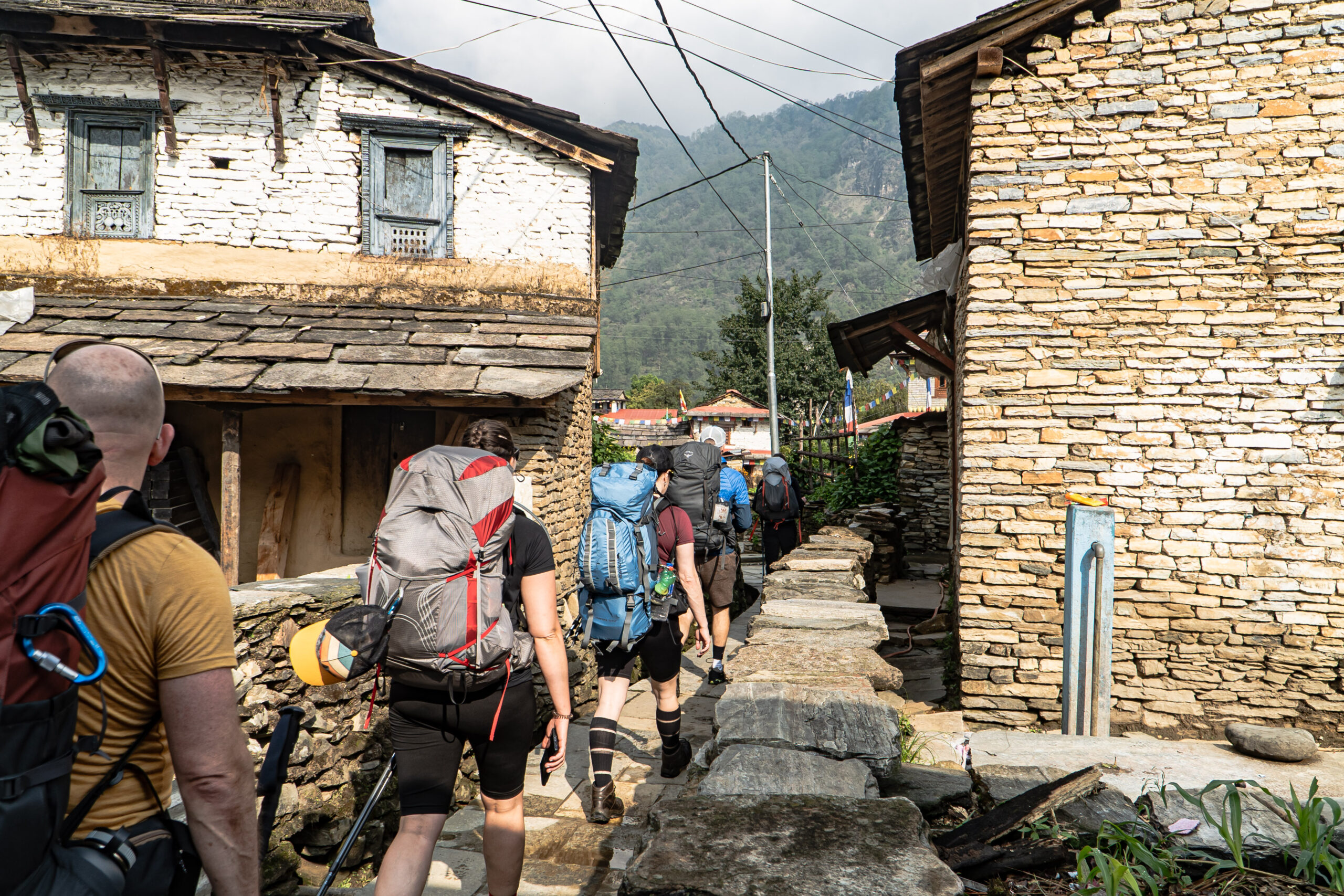 Trekking category photo placeholder — replace with a Himalayan trail scene, 1200×900