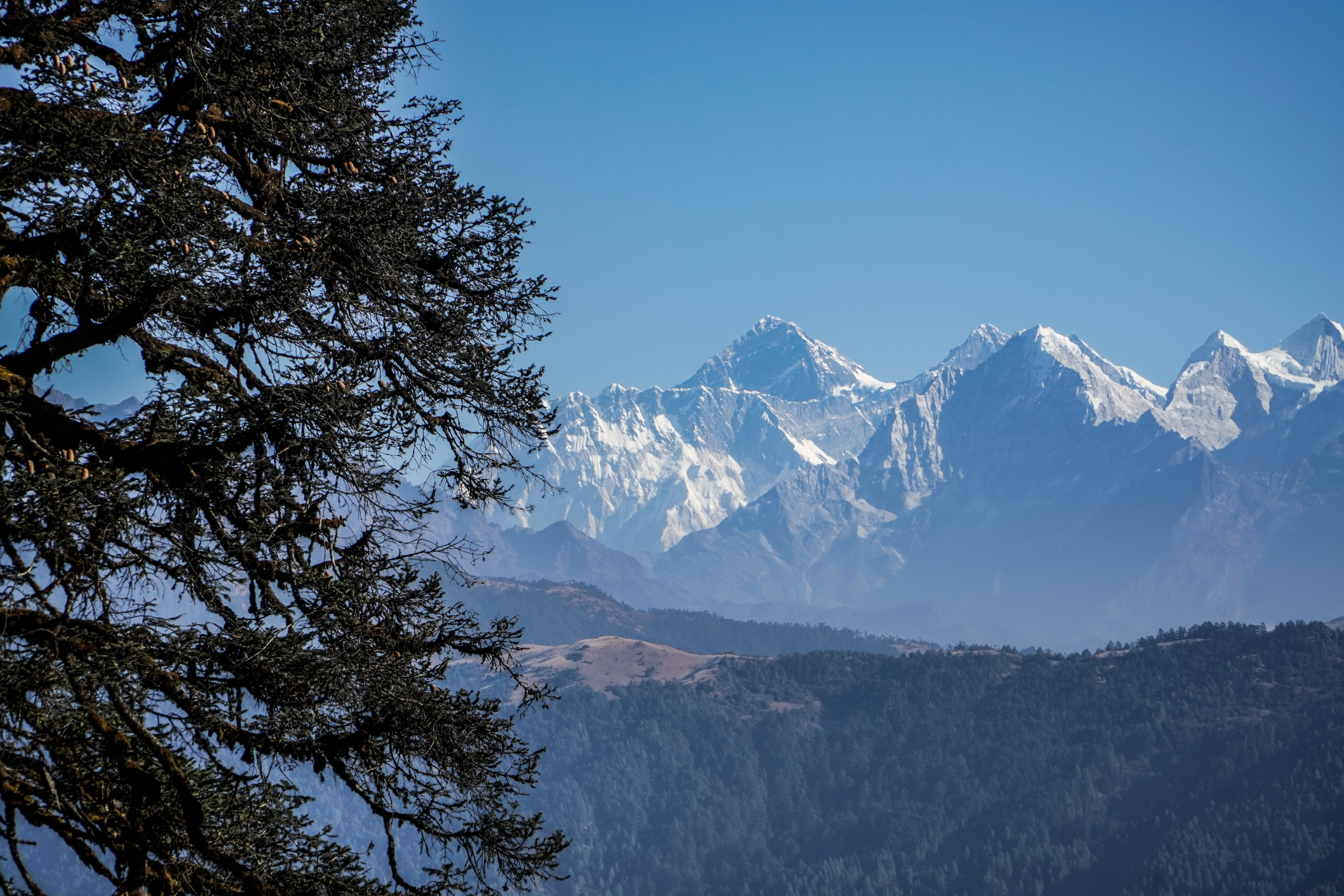 Langtang Valley trek photo placeholder — replace with a trek photo, 800×600